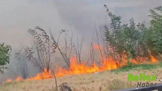 Kahramanmaraş’ta ormanlık alanda yangın: Ekipler bölgeye sevk edildi
