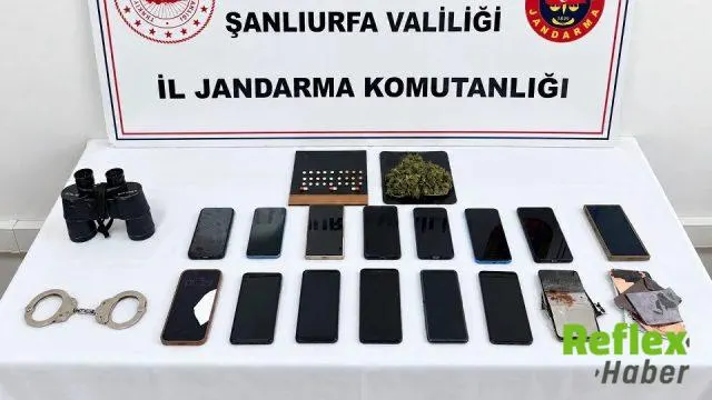 Akçakale’de telefon dolandırıcılığı operasyonu: Şüpheliler mısır tarlasında yakalandı