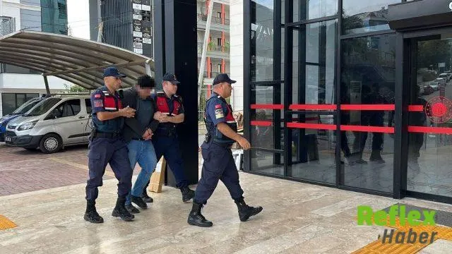 Alanya’da İ̇ki Kuşa Yönelik Vahşi Eylemin Şüphelisi Tutuklandı