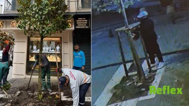 “Tabelamı kapatıyor” bahanesiyle gece yarısı testereyle kesmişti! Belediyeden jet adım geldi