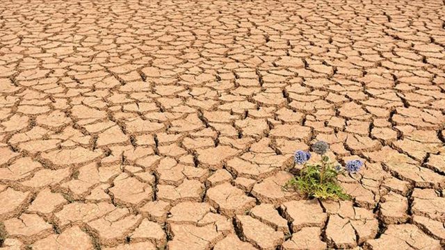 2025 kayıtlara geçen en sıcak üçüncü yıl oldu
