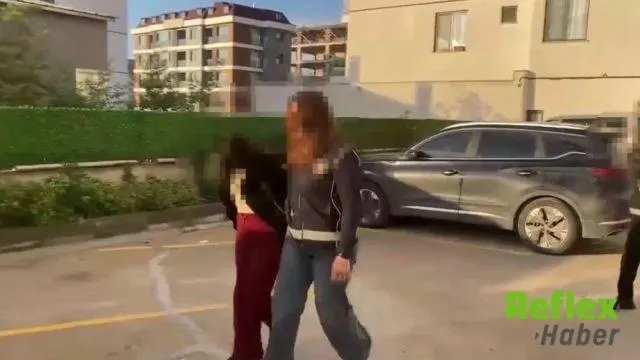 Yasa Dışı Üreme Hücresi Soruşturmasında Ülkelere Göre Ücret Pazarlığı