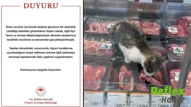 Kedinin Et Reyonundaki Görüntüleri Markete 52 Bin 800 Lira Ceza Getirdi