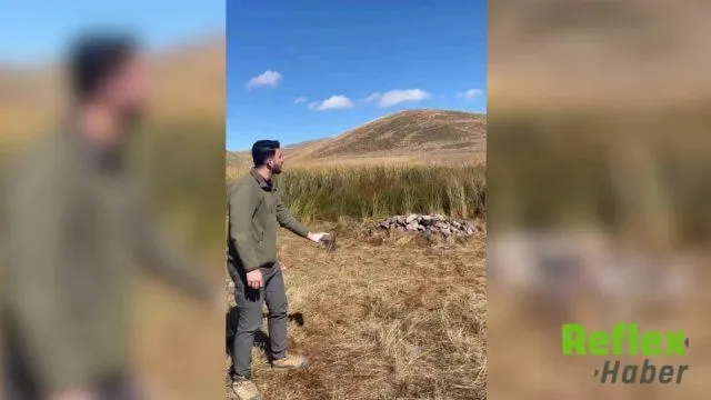 Tuzluca’da Bitkin Bulunan Kerkenez Doğaya Döndü