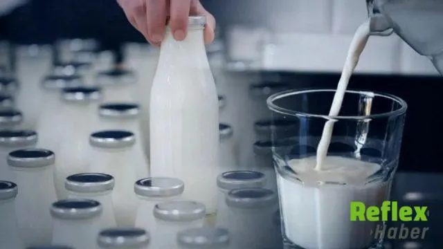 Süt raflarında yeni dönem: İlave şeker ve aromaya sınırlama geliyor