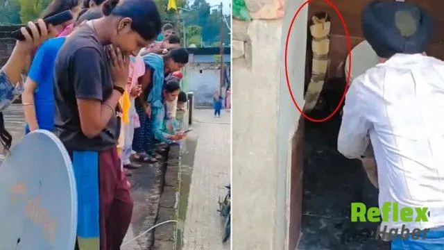 Paonta Sahib’de Tuvalet Klozetinde Kobra Paniği