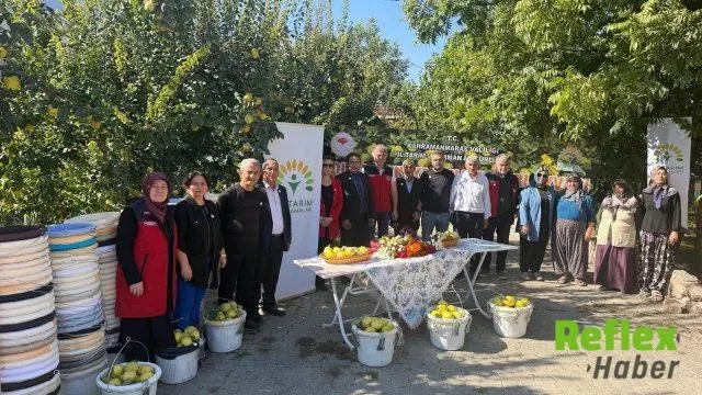 Kahramanmaraş’ta Ayva Üreticilerine Hasat Desteği