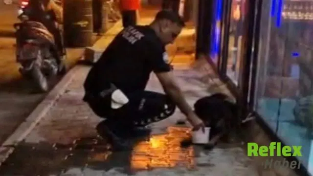 Hatay’da sokak köpeğini av tüfeğiyle yaralayan şüpheli gözaltında