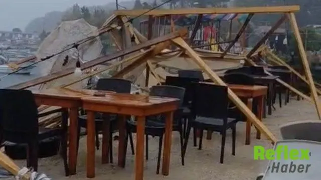 Kurucaşile'de Fırtına Ağaçları Devirdi