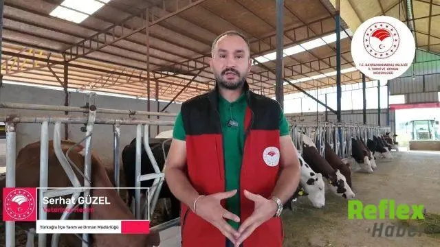 Kahramanmaraş’ta Şap Şüphesinde Belirtiler Ve İ̇zlenecek Yol Anlatıldı