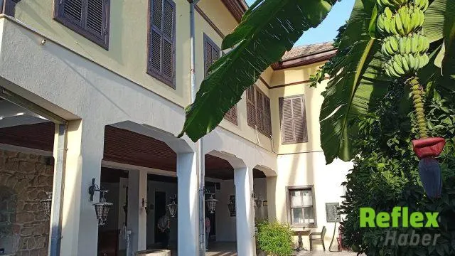 Atatürk Evi Bahçesindeki Muz Ağacı Dikkat Çekiyor