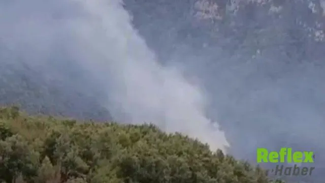 Hatay'da orman yangını: Ekipler havadan ve karadan müdahale ediyor