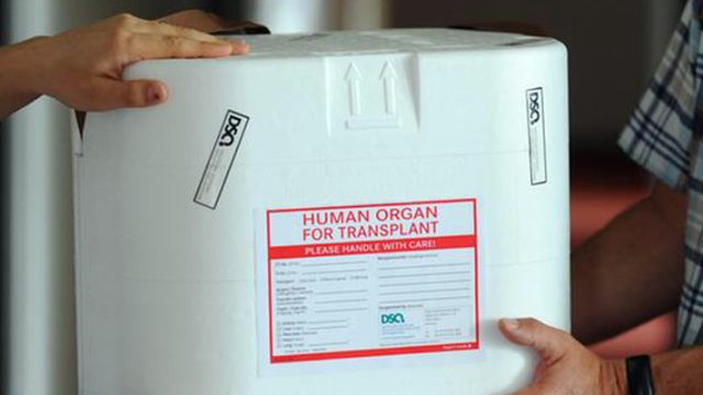 Almanya'da organ bağışında vahim tablo