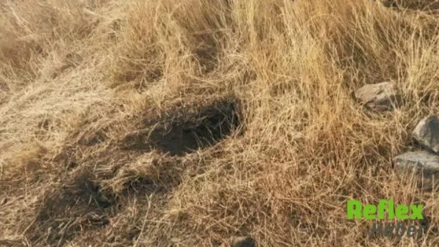 Kars'ta Bir Günlük Bebeğin Ölümünde Anne Ve Anneanne Tutuklandı