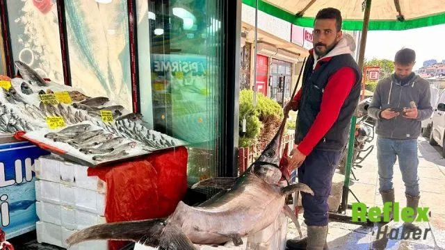 Ankara Dikmen'de 2,5 Metrelik Kılıç Balığına Yoğun İ̇lgi