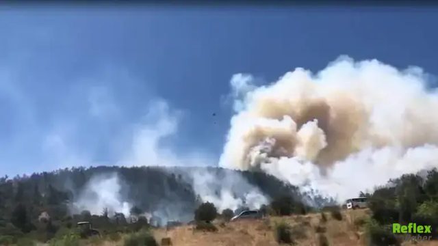 Balıkesir'de Korkutan Orman Yangını! Rüzgar Alevleri Kontrolsüz Büyüttü