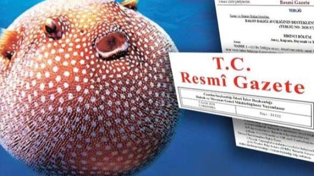 Balon Balığı Avcılığı Desteği Artırıldı: Resmi Gazete'de Yeni Karar Yayımlandı