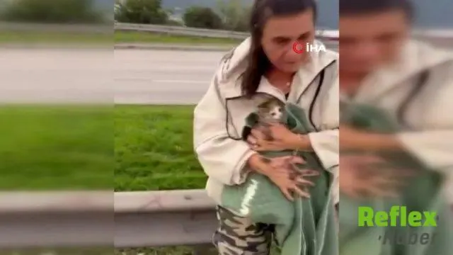 Bursa'da Korkan Yavru Kedi Aracın Tekerine Sığındı: Kurtarılma Anı Kamerada