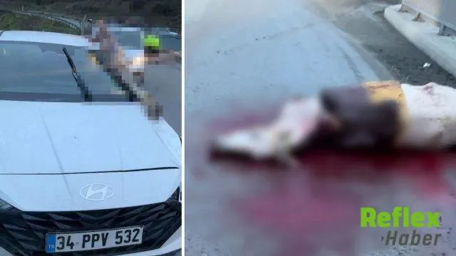 Arnavutköy’deki Kazada Atın Kopan Bacağı Otomobile Saplandı