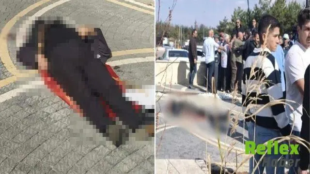 Ali Şekeroğlu Emekli Eyleminde Hayatını Kaybetti