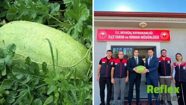 Beyağaç Karpuzu İ̇çin Coğrafi İ̇şaret Çalışması Başlatıldı