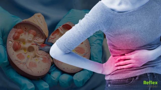 Böbrek Kanseri Sessiz İlerliyor Erken Tanı Hayat Kurtarıyor