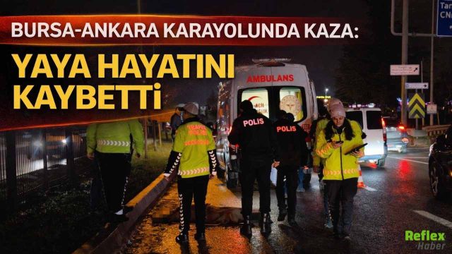 Bursa-Ankara Karayolunda Kaza: Yaya Hayatını Kaybetti