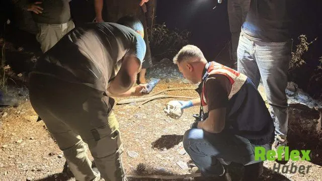 Gazipaşa’da ormanlık alanda kafatası bulundu