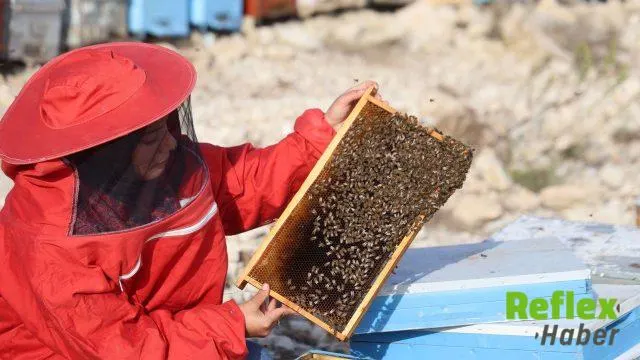 Kahramanmaraş’ta Arıcılık Desteği İ̇çin Son Tarih 30 Ekim