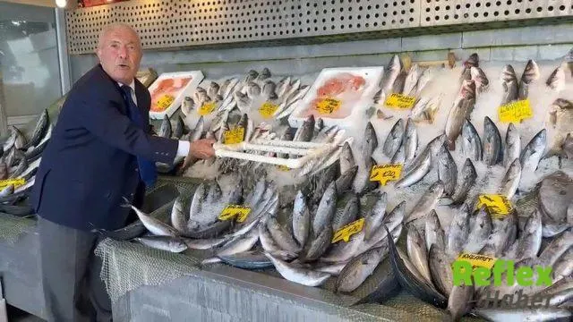 Balık sezonu açıldı: Tezgahlarda hamsi, palamut ve istavrit bolluğu