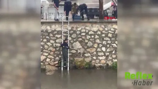 Gemlik’te Dereye Düşen Yavru Kedi İ̇tfaiye Tarafından Kurtarıldı