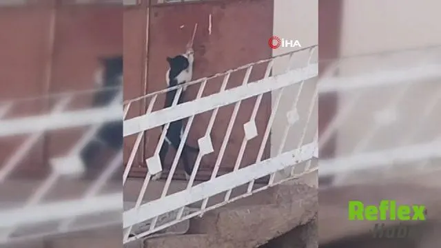 Elazığ’da Kedi İ̇pi Çekerek Evin Kapısını Açtı