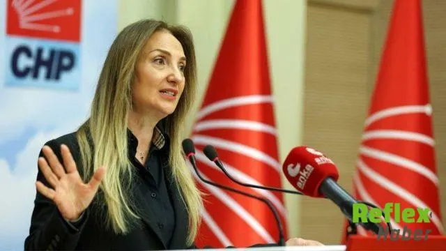 Aylin Nazlıaka’nın Siyasi Geçmişi Ve İ̇hraç Süreçleri