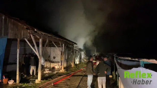 Ortaköy’deki Büyükbaş Çiftlik Yangını Söndürüldü