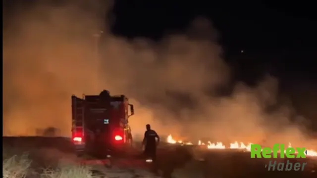 Kahramanmaraş’ta Afşin Kalesi Çevresinde Yangın Çıktı
