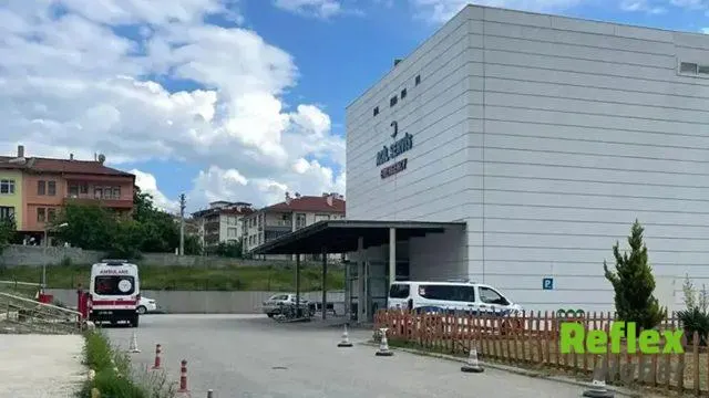 Taşköprü’de Orman İ̇şçisi Şükrü Sucu, Arı Sokmasıyla Hayatını Kaybetti