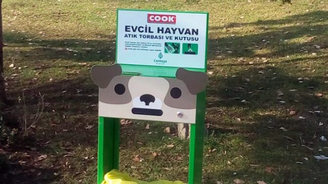Cook ve Çankaya Belediyesi’nden örnek proje