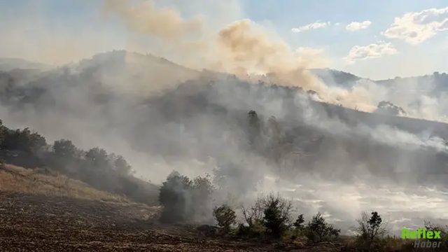 Çorum'da Orman Yangını Büyüdü: Ekipler Seferber Oldu
