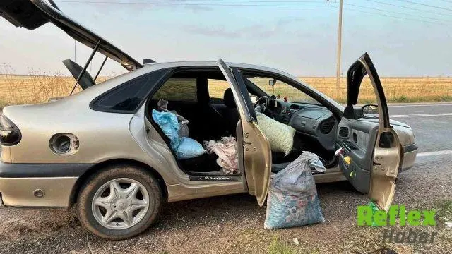 Ceylanpınar’da Ti̇gem Bahçesinde Fıstık Çalan 4 Şüpheli Yakalandı