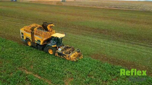 Tekirdağ’da Şeker Pancarı Hasadı Çorlu’da Başladı