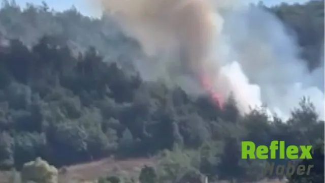 Bursa'da Orman Yangını Çıktı! Ekipler Havadan Ve Karadan Müdahale Ediyor