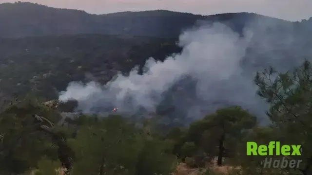 İ̇slahiye-Kilis Sınırında Orman Yangını 3 Saatte Söndürüldü