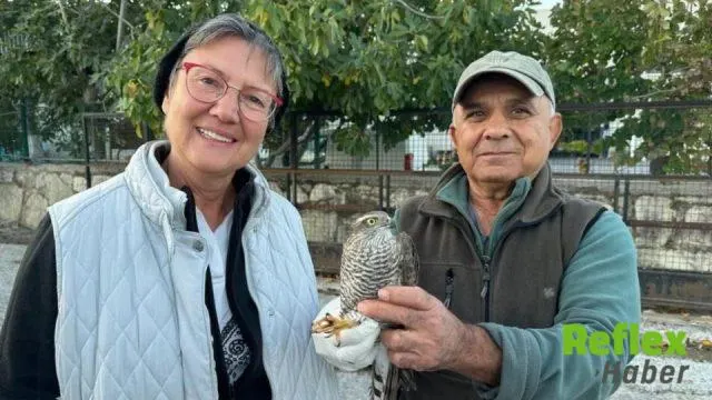 Kuşadası’nda Yaralı Atmaca Ve Sansar Yeniden Doğaya Döndü