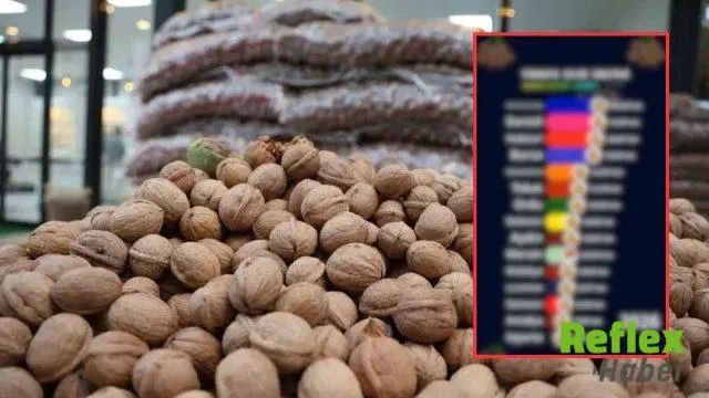 Kahramanmaraş Ceviz Üretiminde 2026 Zirvesine Çıktı