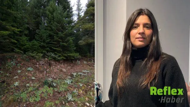 Bolu’da Yeni Kayaç Bilimsel Literatüre Kazandırıldı