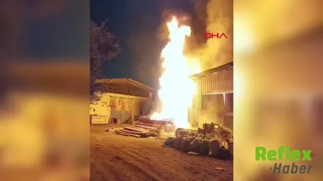 Aydın Efeler'de Odun Deposundaki Yangın Söndürüldü