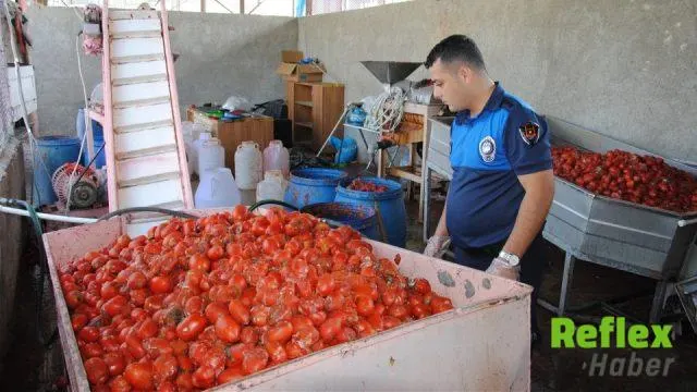 Şanlıurfa’da Çürümüş Domates Ve Küflü Salçaya Zabıta Müdahalesi
