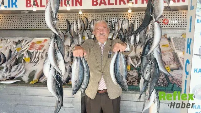 Palamut Bolluğu Fiyatları Dibe Çekti: Son 25 Yılın Bereketli Sezonu