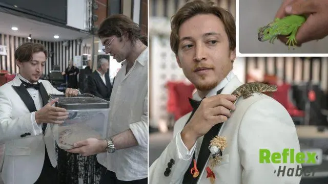 Buğra Yalçın’a Düğününde Altın Yerine Egzotik Hayvanlar Takıldı