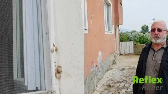 Hatay Hassa’da Salyangozlar Ev Ve Bahçeleri Sardı